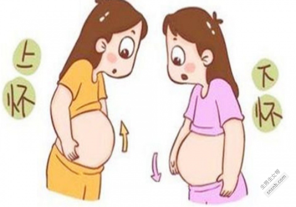 如何判断男孩或女孩在出生前就有胎盘？实际上，这是最准确的方法，可以看到你是在上面还是在下面怀孕的! ...(图2)
