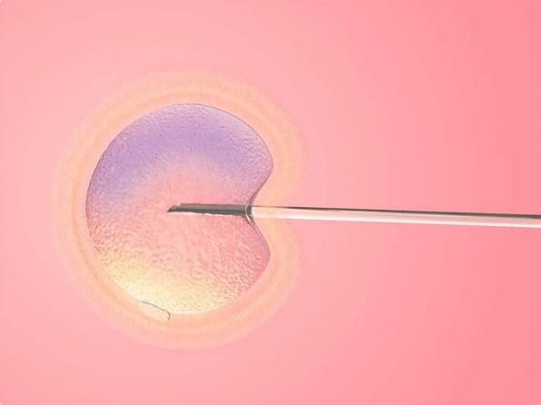 盐城60岁助孕龙凤胎：试管婴儿胚胎的类别是如何划分的？哪一类胚胎在试管婴儿中的成功概率更高？(图1)